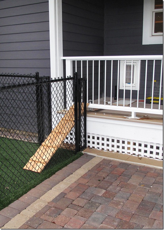 Dog Door 5