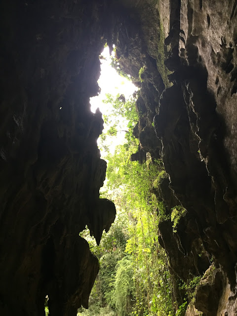 VINALES CAVES