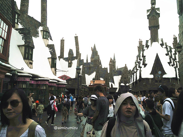 Wizarding World of Harry Potter - USJ