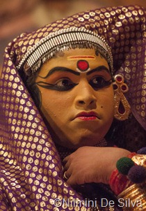 2013 01 14 Cochin (4 of 8)