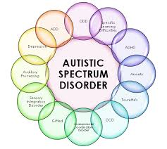 Trying to Understand Autism Spectrum Disorder