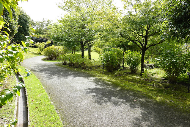 鳥取県西伯郡南部町鶴田　とっとり花回廊