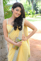 Cute, Pranitha, In, A, Yellow, Saree