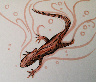 Create A Drawing A Day: Newt