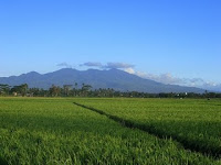 gunung tenggamus