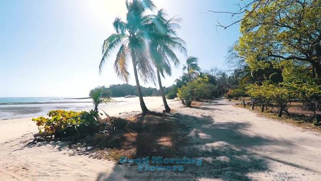 contadora-island-panama