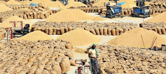 Wheat crop apmc market prices rose in anticipation of rising wheat market demand from the South India and other agriculture in India states Wheat crop apmc market prices rose in anticipation of rising wheat market demand from the South India and other agriculture in India states