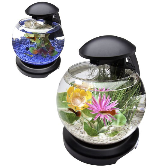 small glass betta aquariums fish tank with light