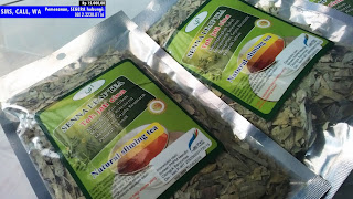 Obat Herbal Jati Cina, Obat Herbal Daun Jati Cina, Obat Herbal Teh Jati Cina, 0812.3230.8116