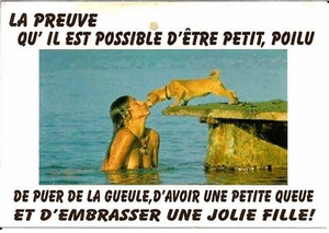 Kitch Kitsch Kitchissim Les Blagues De Cartes Postales Kitch Kitsch Kitchissim Les Blagues De Cartes Postales