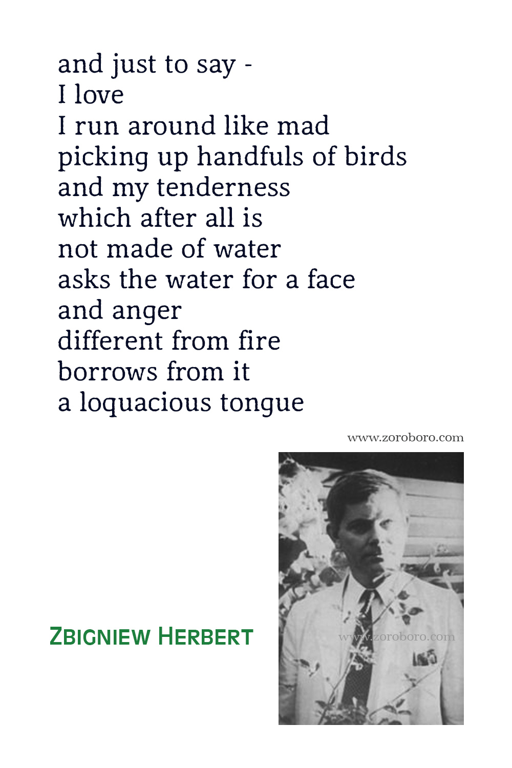Zbigniew Herbert Quotes, Zbigniew Herbert Poems, Zbigniew Herbert Poetry, Zbigniew Herbert Wiersze, The Collected Poems 1956 - 1998