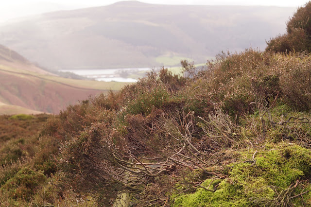 Walking in the Peak District in winter