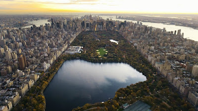 Amazing View of Central Park, New York