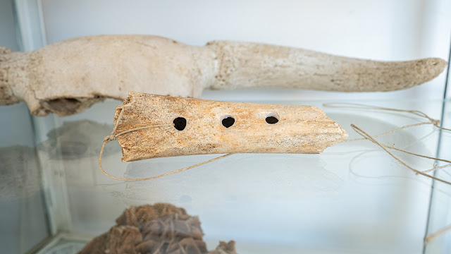 Flauta de hueso prehistórica y otros objetos en una vitrina de cristal.
