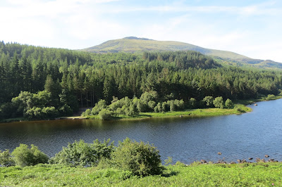 A lake and woodland, behind which stands the summit of Moel Siabod.