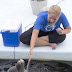 Blindfolded dolphin mimics trainer's movements by using sound waves to 'see' what he is doing