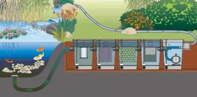 sistem filter kolam ikan