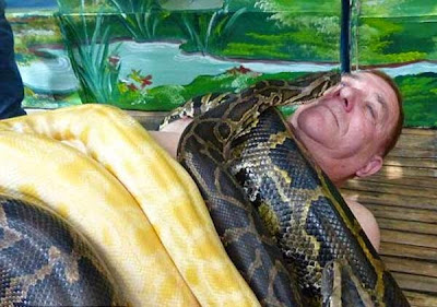 Snake Massage Parlour 