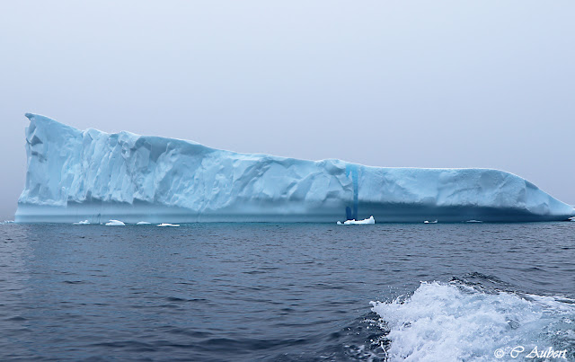 Iceberg, Savissivik, Groenland