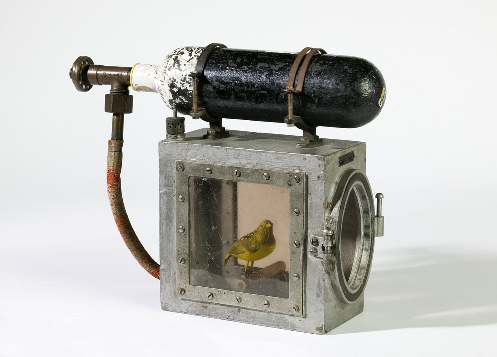 canary-resuscitators-2