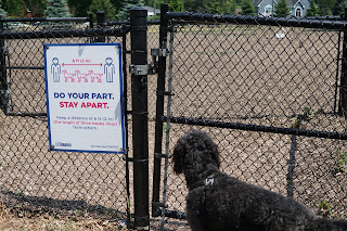 Off-leash dog park in Scarborough Heights Park