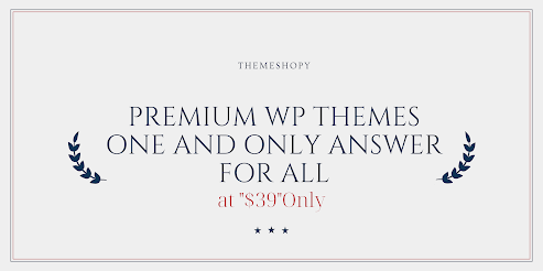 Premium WP Themes