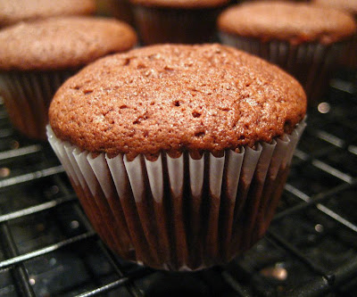 chocolate cupcakes