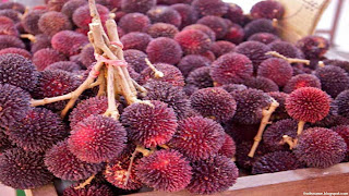 pulasan fruit images wallpaper