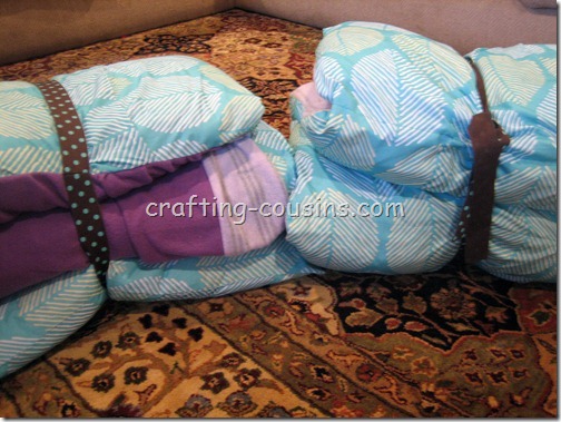 Pillow Beds (6)