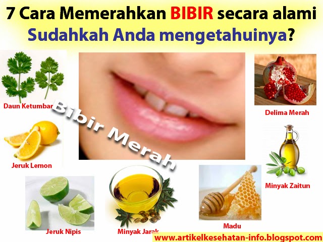 Cari Cara Memerahkan Bibir Secara Alami Tanpa Lipstik, Tips Kesehatan, Tips Kesehatan