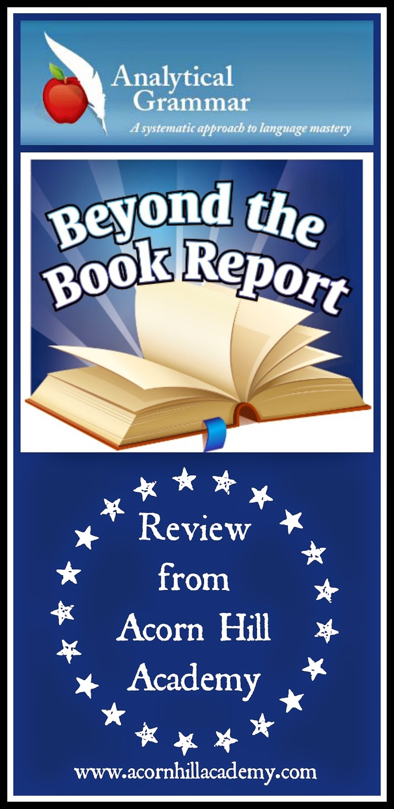 beyond the book report reviews