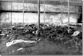 bodies