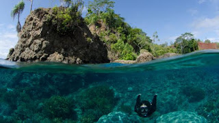 Maluku utara