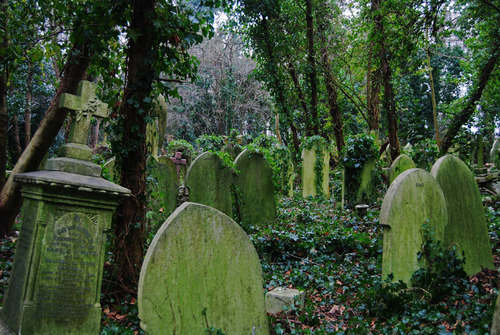 Vista del verde y húmedo Cementerio de Highgate