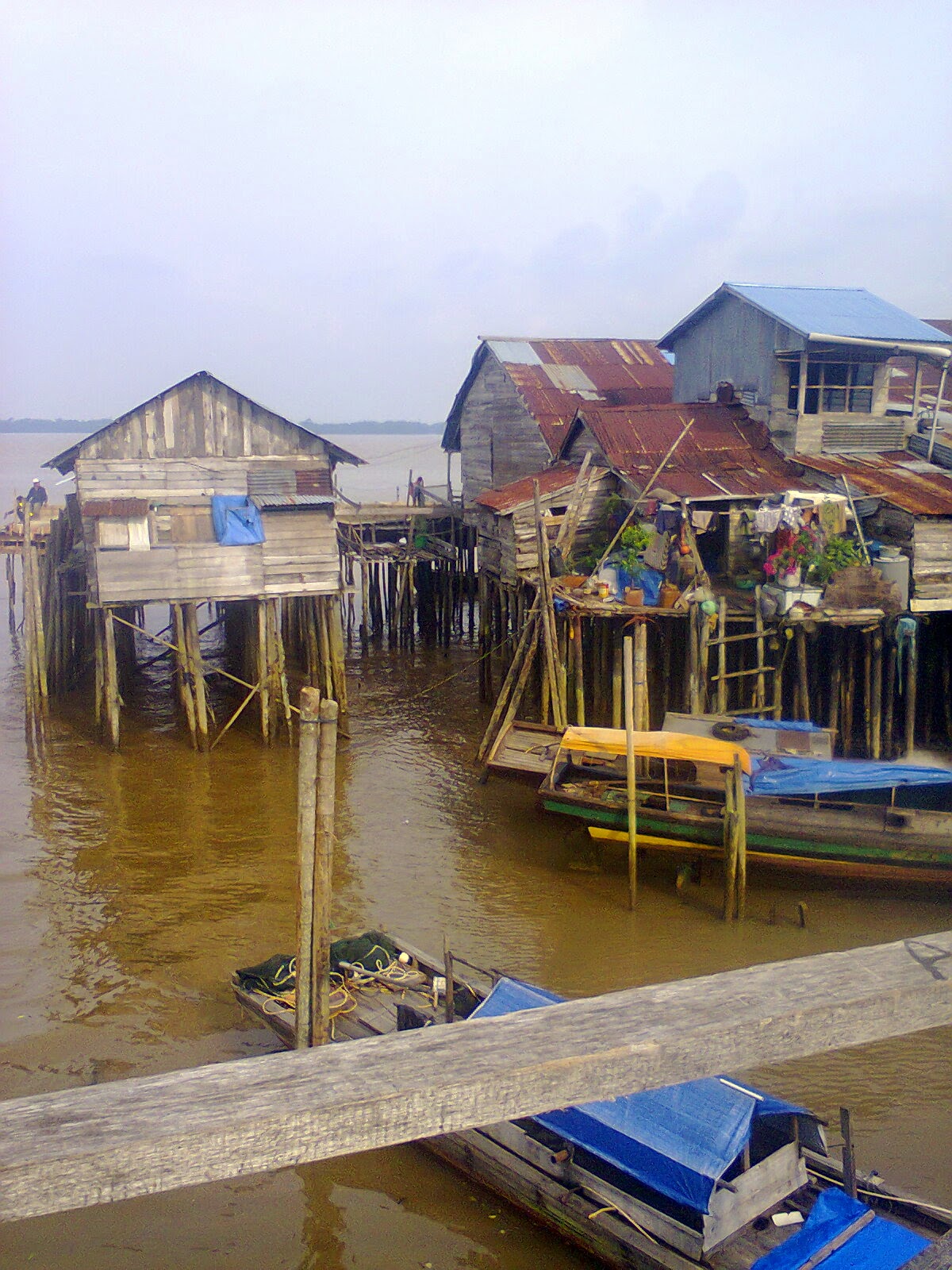 Wisata Kampung Laut Kabupaten Tanjung Jabung Timur, Jambi