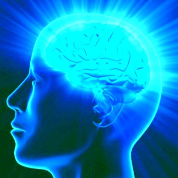 The brain is a wonderful apparatus of nature