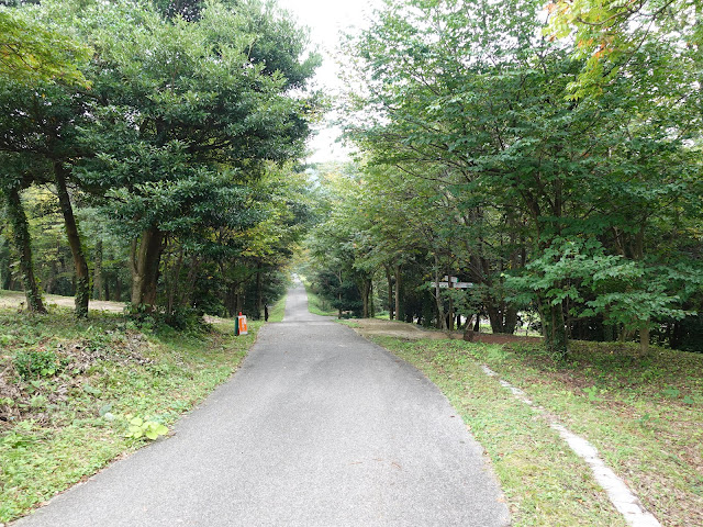 むきばんだ史跡公園の弥生の森遊歩道