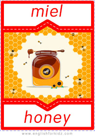 Honey in Spanish, English Spanish flashcard