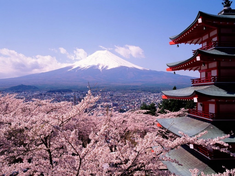 Rekomendasi Paket Tour Jepang 2023 Terbaik dari Tanogaido