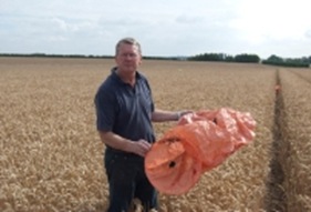 Chinese lantern in field