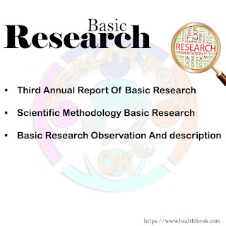 Basic Research Definition Action Research Retching