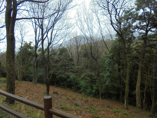 雨の日の弥生の森