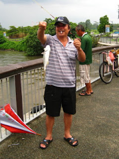 Golden Pomfret or Pompano [Xenobrama microlepis] also know as Kim Chio 金鲳魚 [Chinese] or Ikan Bawal Mas Kapak [Malay] caught by Ah Cheong at Woodland Jetty 26th May 2013 using apollo rig with prawn meat.