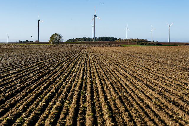 windräder - Hochzeitsfotograf Magdeburg