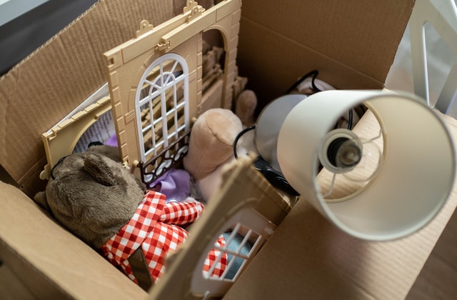 Touching Pet Memorial Idea To Honor Your Dog: Store in a box