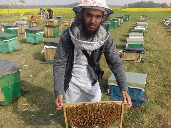 alamin hossain, alamin honey, tarbiyah shop, a pure honey seller