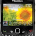 Themes For Blackberry Gemini os 5 Free
