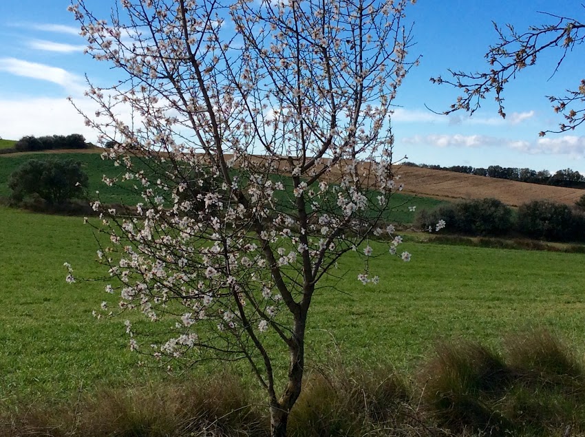 EQUINOCCIO DE PRIMAVERA, 2016