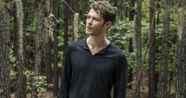 The original hybrid klaus