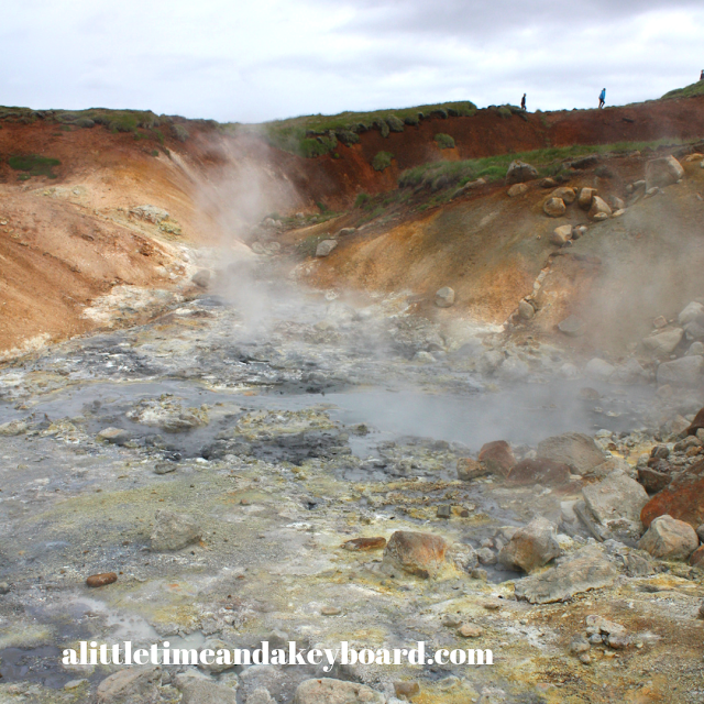 Hot steam, springs and bubbly mud pools bring Seltun alive.